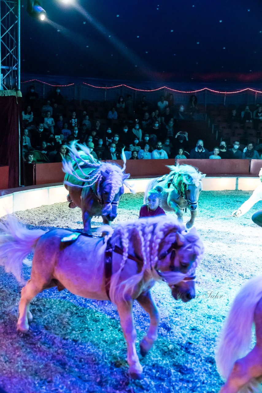 Bild 384 - Zirkus Europa